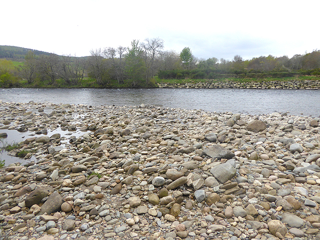 River bank on the Spey