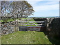 SE0908 : Farm track off Magdalen Road by Humphrey Bolton