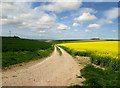 Dale  Road  (track)  to  fields