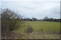 SJ3657 : Farmland near Rossett by N Chadwick