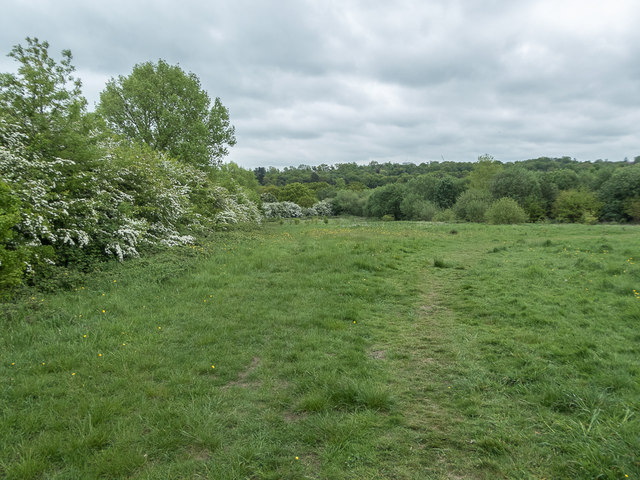 Field, Hadley Wood, Barnet,... © Christine Matthews cc-by-sa/2.0 ...