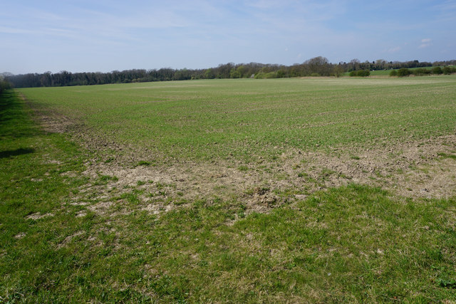 Field near Fordham