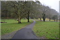 SX5255 : National Cycle Network Route 27, Saltram by N Chadwick