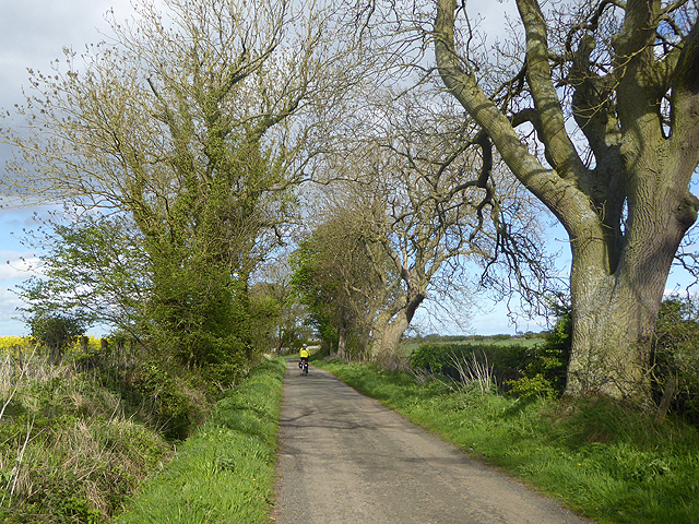 The road to Gloster Hill