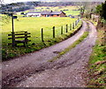 Public footpath choice near Pleasant Stile, Littledean