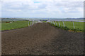 Gallops on Middleham Low Moor (1)