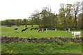 Farmland at Kelton Hill