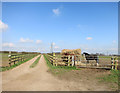 Residents on Widmer Farm