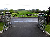 H5656 : Entrance gates, Glenhoy Presbyterian Church by Kenneth  Allen