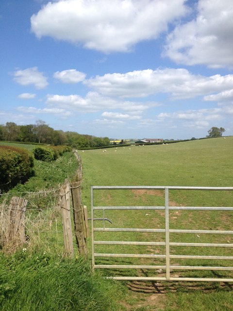 Noborough Farm in distance © Dave Thompson :: Geograph Britain and Ireland