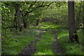 Public Right of Way through Plodmire Wood