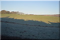 Frosty field by the A351