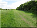 Hedge and track in Wormwood Scrubs beside Braybrook Street