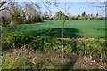 Farmland on the edge of Soham