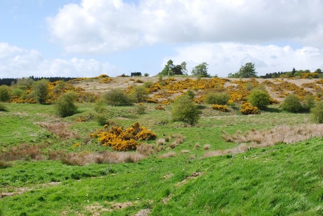 Craigen Hill © David Hamilton :: Geograph Britain and Ireland