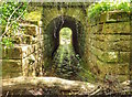 Culvert under Old Railway