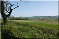 Fields near Midnell Farm