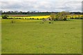 Hop Garden Cottage