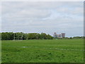 TQ2281 : Gaelic Football pitch, Wormwood Scrubs by David Hawgood