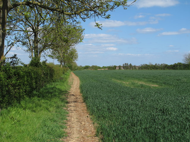 Arable field boundary near Purley Farm,... © Roger Jones :: Geograph ...