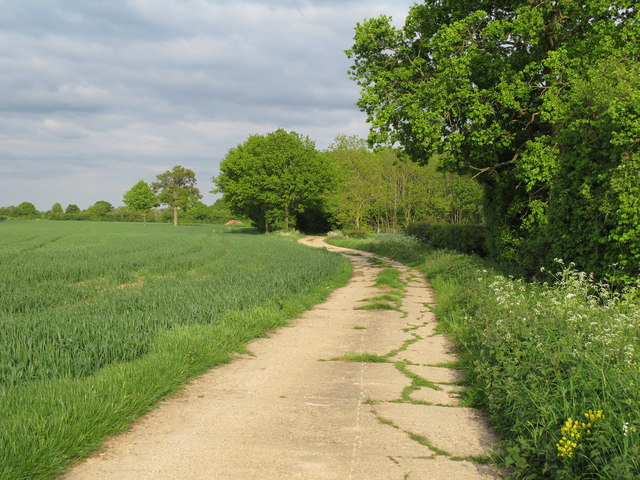 Bridleway on farm track, near Witch Wood, Coggeshall 