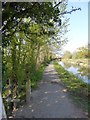 Towpath of Shropshire Union Canal, east of Llanymynech