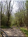 Route of railway track to lime kilns on Llanymynech Hill