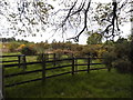 Edgebarrow Woods, Owlsmoor