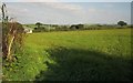 Farmland near Treveria