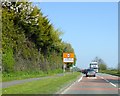 A high hedge by the A483