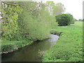 The River Ryton at Chequer Bridge