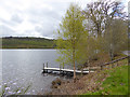 NH4256 : Small landing stage on Loch Achilty by Oliver Dixon