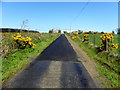 Errigal Road, Errigal / Gort