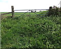 Little used field gate, Bridstow