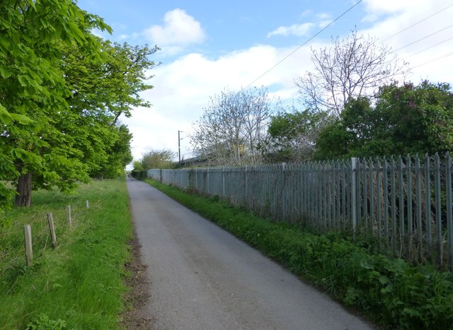 Netherton Park, Northumberland - area information, map, walks and more