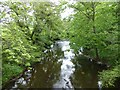 View downstream on the River Wansbeck