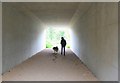 Underpass at Canaston Bridge 