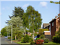 Attractive front gardens in Sandhurst Drive, Wolverhampton