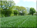 View from the path to Ringlestone