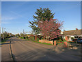 Main Street, Highfields Caldecote