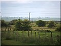 Luddenham Marshes