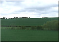 Farmland towards Bush