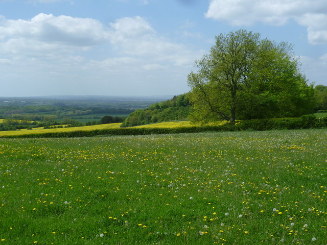 The top of the scarp slope above Harrietsham