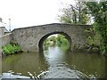 Nameless and numberless bridge, from the west