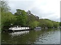 Boats moored on the north bank of the River Avon