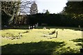 Crosses on the Graves