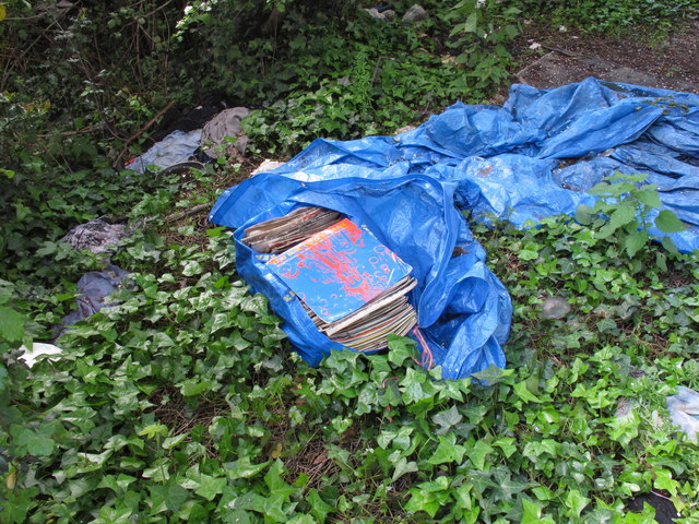 LP records abandoned in rough sleeper's campsite