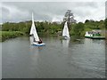 ST6867 : Boats from the Bristol Avon Sailing Club [2] by Christine Johnstone