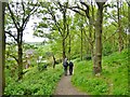 Walking in woods below Stapleford Hill