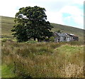 Derelict buildings near the southern end of Whistle Road, Garn-yr-erw